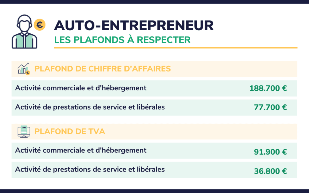 Plafonds Auto-Entrepreneur 2024