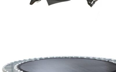 La résilience des TPE-PME en 2024