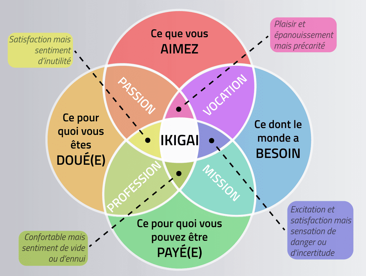 Ikigai pour DG conseil 33