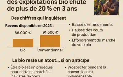 Bio en crise : comment rester rentable ? 🚜